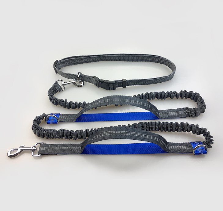 multi-function running reflective pull dog