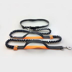 multi-function running reflective pull dog