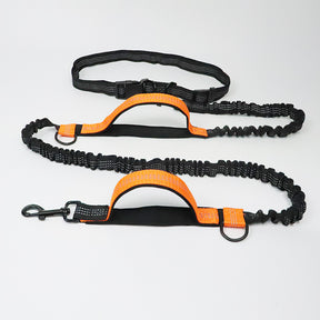 multi-function running reflective pull dog