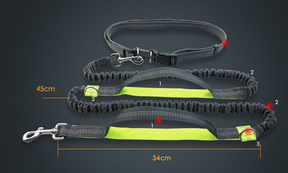 multi-function running reflective pull dog