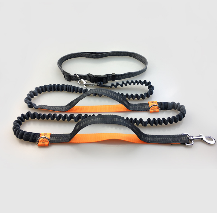 multi-function running reflective pull dog