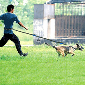 multi-function running reflective pull dog