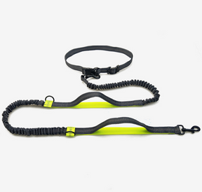 multi-function running reflective pull dog