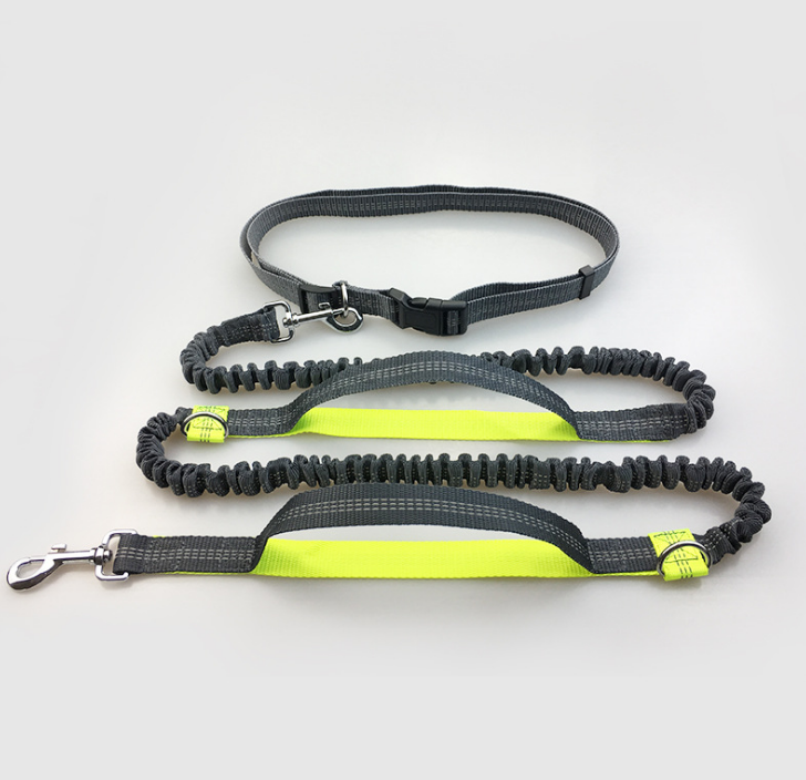 multi-function running reflective pull dog