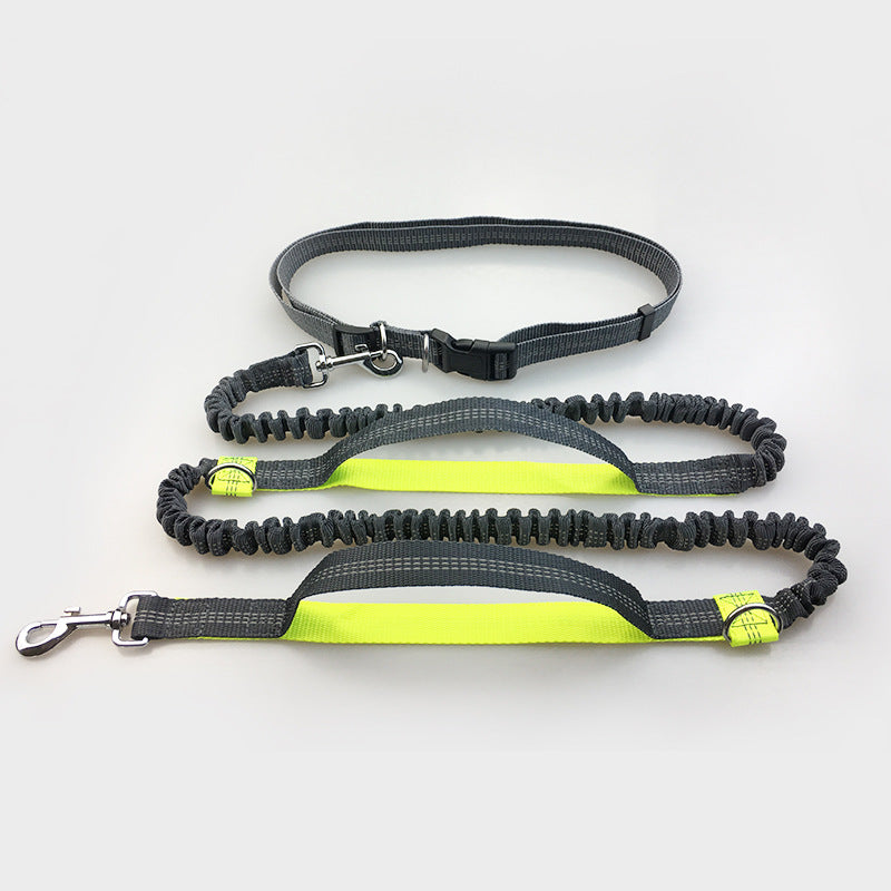 multi-function running reflective pull dog